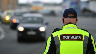 Фото - Водители подрались на глазах у инспекторов ДПС на подъезде к Ростову