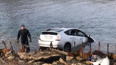 Фото - Во Владивостоке четыре индийских студента упали на автомобиле в море